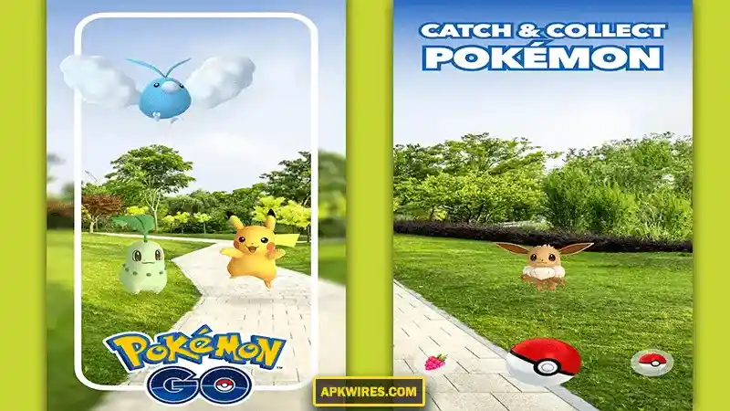 catch and collect pokemon