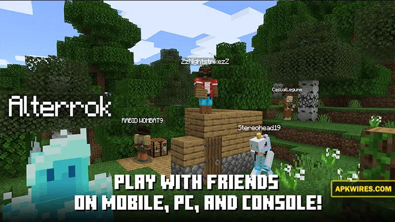 play minecraft with friends