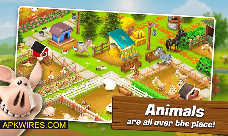 hay day-018